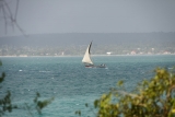Дар-эс-Салам, что в переводе с арабского означает «гавань мира» - бывшая столица Объединенной республики Танзания.